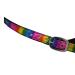 Shop Rainbow Cloth Lined Halters for Horses - Adjustable Multi-Colored Halters for Ponies & Thoroughbreds - Buy Online on GoSupps.com