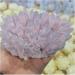 Natural Crystal Rough Natural Pink Crystal Cluster Pink Quartz Cluster Pink Raw Stones Specimen Home Decoration 1pcs Decoration (Size : 500-600g) - Buy Online on GoSupps.com