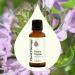 Plant Therapy Thyme Thymol Essential Oil 30 mL (1 oz) 100% Pure Undiluted Natural Aromatherapy for Immune Support and Digestive Relief - Buy Online on GoSupps.com