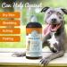 Wild Alaskan Salmon Oil for Dogs & Cats - Omega 3 Fish Oil Liquid Supplement - Made in USA - Joint Function & Heart Health Support - 32 Fl. Oz - Buy Online on GoSupps.com