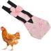 Zerodis Pet Chicken Diapers - Flamingo Pattern, Medium Size - Ideal for Poultry Pet Hygiene & Cleaning - Buy Online on GoSupps.com