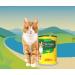 Josicat Chicken in Sauce (12 x 415g) | Premium Wet Cat Food with Vitamin D3 & E | Best Fine Cat Food for Adult Cats | Josera Quality - Buy Online on GoSupps.com