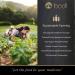 Bodi Bromelain Powder 2400gdu Extract - Pure Natural Chemical Free (4 oz) - Buy Online on GoSupps.com