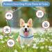 Yufana Adjustable Flea Neck Band for Dogs & Cats - 2-Pack for All Sizes 62 cm - Effective Flea Control for Small Medium & Large Pets - Buy Online on GoSupps.com