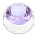 Healeved Nail Art Crystal Cup Crystal Dappen Dish Glass Terrarium with Lid Glass Dappen Dish Manicure Dish Bowl Manicure Art Dish Nail Liquid Cup Accessories With Cover White Crystal Purple