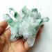 Natural Crystal 250g Green Ghost Cluster Crystal Stone Clear Quartz Crystal Cluster Natural Ghost Quartz Cluster Specimen Home Goods - Buy Online on GoSupps.com