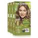 Natureint Biobased |Hair color without ammonia |8n wheat blonde |High proportion of natural ingredients3 pack |510 ml 8n.Wheat blonde 170 ml (3 pack)
