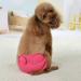 Buy Oyccen 2 Pieces Reusable Dog Diapers for Female Dogs - Protective Underwear & Sanitary Pants - Perfect for All Breeds - International Shipping Available - Buy Online on GoSupps.com