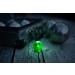 COCHOLED - Luminous petanque piglet - 1pc - Green - Buy Online on GoSupps.com
