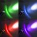 Buy MODOAO Mini LED UV Keychain Black Light Flashlight - 4 Pack UV Urine Detector for Dogs | International Shipping Available - Buy Online on GoSupps.com