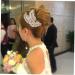 FRCOLOR Bridal Hair Accessories hair comb bridal hair comb rhinestone headpiece silver headpiece bridal headpiece headpiece rhinestone hair comb hair side combs bride Korean Comb - Buy Online on GoSupps.com