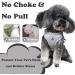 Anlitent Soft Mesh No Pull Cat Harness & Lead Set - XS Under 3lbs - Escape Proof Vest for Walking Cat/Kitten - Grey - Buy Online on GoSupps.com