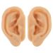 JHKNNK 1 Pair Silicone Ear Anatomy Model - Piercing Practice Realistic Fake Ear Model - Acupuncture Nursing Training Display Props for Classroom and Teaching Use