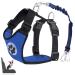 Eyin dog harness with seat belt for car 2 carabin hooks-combined with seat belt buckle child safety seat or trunk adjustable breathable dishes (blue m) blue M