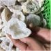 Stone Crafts Natural Agate Crystal Gemstone Cavern Reiki Crystal Stone geode Wrapping Pendants Natural Luster - Buy Online on GoSupps.com