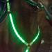 Shop Dowoa LED Horse Harness - Robust Safety Equipment for Best Visibility & Comfort (Blue-2) - Buy Online on GoSupps.com