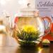 Buy Creano Teblumen Mix 6 - Bloomed White & Black Tea in Luxury Magnetic Box | 6 Premium Tea Pieces | Perfect Gift - Buy Online on GoSupps.com