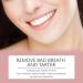 Fresh Breath Mouthwash Oral Odor Cleaner Stain Remover Daily Care Dental Care - Buy Online on GoSupps.com