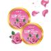 Moisturizing Lip Balm with Organic Oils Made With Desi Ghee| Glossy Sheen - Rose Flavor | Rich Buttery Texture for Ultimate Hydration & Protection | All-Natural Ingredients - 30g
