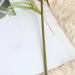Tainrunse Artificial Tea Rose Simulated Tea Rose Tracery Wall DIY Vivid Appearance Green - Buy Online on GoSupps.com