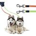Buy Gobesty Double-Pulling Dog Leash - Retractable 3M Leash for Two Dogs with LED Light & Garbage Box | International Shipping - Buy Online on GoSupps.com