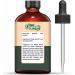Ridge Gourd Oil (Luffa Acutangula) - Pure Natural Carrier Oil for Skincare & Haircare - 118ml / 3.99fl oz | Buy Online Worldwide - Buy Online on GoSupps.com