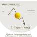 2x DBT Skills Hedgehog Ball | Magnetic Stress Relief Acupressure Ball | Massage Tool for Tension & Mobility | Yellow Matt 47mm - Buy Online on GoSupps.com