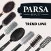 Parsa Beauty Trend Line Long Narrow Hairbrush - Silver | All-Round Styling Tool for Tangle-Free Hair | Daily Use Hair Brush with Plastic Pins - Buy Online on GoSupps.com