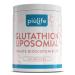 Glutathion Liposomal Pi Life 500 mg par dose (2 g lules) 100% Glutathion Reduit Pur avec Technologie Liposomale Antioxydant Puissant & D tox 60 G lules V g tales 60 unit (Lot de 1)