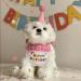 Kaket Cat Birthday Outfit Puppy Birthday Bib Small Dog Birthday Party Hat Dog Birthday Bandana Pet Birthday Accessories (Pink) - Buy Online on GoSupps.com