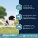Eukanuba Dry Dog Food with Fresh Chicken for Medium Breeds | 3 kg Premium Nutrition for Adult Dogs - Buy Online on GoSupps.com