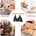Qrity Cat & Dog Care Hammock Set - Black - Nail Cutting & Fur Care Essentials - Buy Online on GoSupps.com