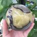 Home Decoration Natural turtleback Stone Crystal Stones Stone Mineral Specimen (Size : 400-450g) - Buy Online on GoSupps.com