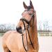 HORZE Lester Dressage Snaffle Bridle with Reins - Black Horse | Quality Equestrian Gear - Buy Online on GoSupps.com
