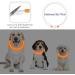 Coolzon LED Light Neck Band Dog Collar - Waterproof Adjustable Length 3 Modes Super Bright for Cats & Dogs - Orange - Buy Online on GoSupps.com