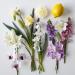 DIVAIN-513 - Inspired by White Linen - Perfume Impression for Woman - Floral Fragrance - Buy Online on GoSupps.com