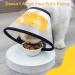 GUIYANIU Dog Cone Collar After Surgery Recovery Collars for Dogs Cats Cats Dog Cones for Anti-Licking Pet Protective Neck Cone Stop Licking Adjustable Plastic Soft Collar for Wound Dogs and Cats - Buy Online on GoSupps.com