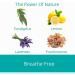 Essential Oil Aromatherapy Inhaler Bundle. Organic Oils. Curb Snacking Promote Energy Sleep Better and Breathe Easy with These Blends. - Buy Online on GoSupps.com