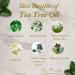 Dr. Woods Shea Vision Tea Tree Liquid Facial Cleanser - Organic Shea Butter 8 oz | Enhance Your Skin Care Routine - International Shipping Available - Buy Online on GoSupps.com