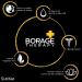 ShiKai Borage Therapy Dry Skin Lotion - Soothing Relief for Dry, Itchy Skin - Unscented - 8 oz - Buy Online on GoSupps.com