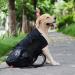 Woolala Light Weight Pet Carrier Backpack for Small and Medium Dogs Veterinarian Approved Safe Bag for Travel - Easy Take Space Saving (L Upgraded- Black) L Upgraded- Black - Buy Online on GoSupps.com