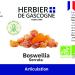 Boswellia serrata ORGANIC | 200 capsules | Gasket | 200 mg dosage 100% natural without additives and not compressed | THE GASCOGNE HERBAR | Herbalist since 1985 - Buy Online on GoSupps.com