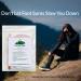 Heal2Toe Hiker's Kit for Foot Sores - Trek Kit | Fast Relief for Foot Sores - Buy Online on GoSupps.com