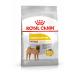 Royal Canin Dog Food Medium Dermacomfort Dry Mix 3kg