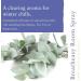 Absolute Aromas Breatheasy Room Spray 100ml - Tea Tree & Peppermint Essential Oil Blend - Buy Online on GoSupps.com