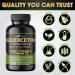 Quercetin with Vitamin C, Zinc, Nettle, and Bromelain - 500mg - 120 Veggie Caps (Non-GMO, Gluten-Free, Vegan) - 2 Month Supply - Buy Online on GoSupps.com