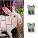 LELEO Rabbit Feeder Hanging Rabbit Hay Feeder Bag Foldable Hay Storage Bag for Rabbit Guinea Pig Hamster Chinchilla S-Avocado - Buy Online on GoSupps.com