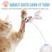 Speedy Panther Interactive Cat Toys for Indoor Cats Adult Kitten Toy Interactive Cat Toys with 360 Electric Cat Butterfly Toys Rotating - Buy Online on GoSupps.com