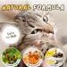 Njula Paw Care Stick Paw Ointment Stick Njula Paw Care Balm Pet Care Cream Njula Paw Moisturizer for Dry Paw Pads Cuddlesmeow Pet Care Creams for Dry Skin (2pcs) - Buy Online on GoSupps.com