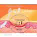 Hydrocolloid Adhesive Bandage 4'' x 4'' - Box of 10 Dressings - Buy Online on GoSupps.com